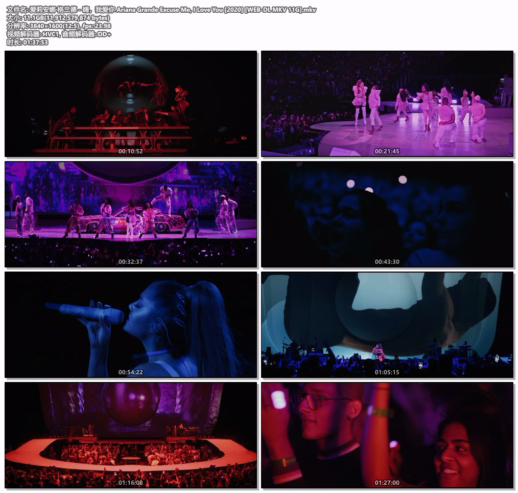 图片[5]-爱莉安娜·格兰德 – 嗨，我爱你 Ariana Grande: Excuse Me, I Love You 2020 [WEB-DL MKV 11GB]-蓝光演唱会资源网