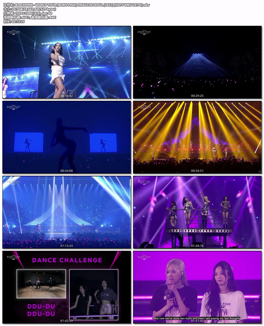 图片[6]-BLACKPINK WORLD TOUR [BORN PINK] FINALE IN SEOUL 2023 [HDTV MKV 26.7G]-蓝光演唱会资源网