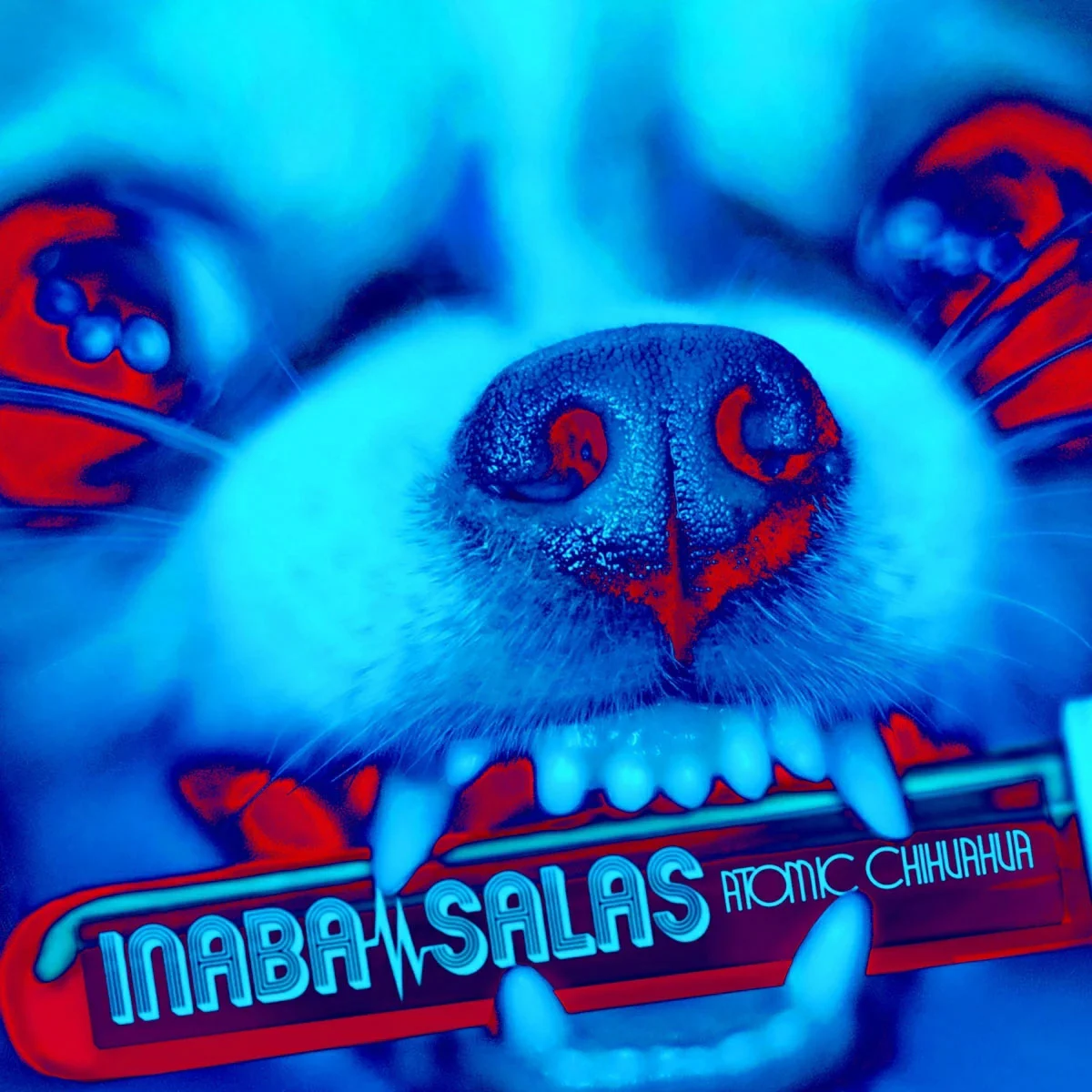 INABA／SALAS – ATOMIC CHIHUAHUA 2025 CD+BD [BDMV 22.3GB]-蓝光演唱会资源网