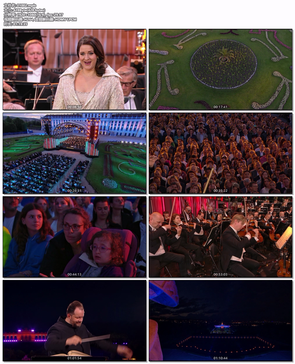 图片[5]-2024维也纳美泉宫夏季音乐会 Summer Night Concert from Vienna 2024 [BDrip MKV 11.6GB]-蓝光演唱会资源网
