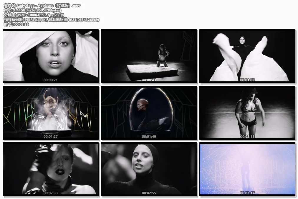 图片[2]-女神卡卡 Lady Gaga – Applause 1080P [ProRes MOV 4.44GB]-蓝光演唱会资源网