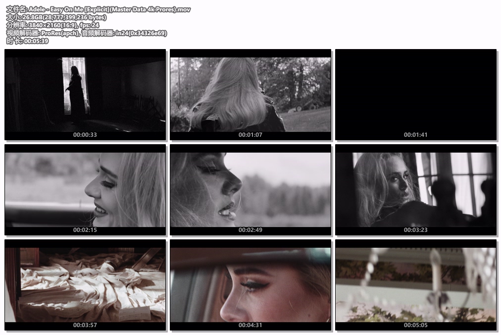 图片[2]-阿黛尔 Adele – Easy On Me 2160P 4K [ProRes MOV 26.8GB]-蓝光演唱会资源网