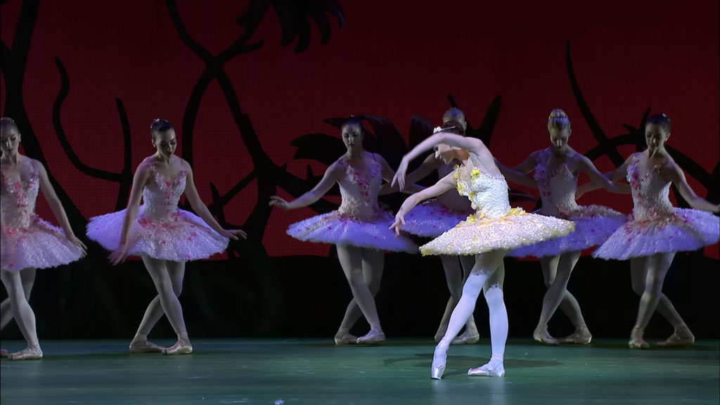 图片[5]-芭蕾舞剧 – 堂吉诃德 Minkus – Don Quixote Royal Ballet 2013 英国皇家芭蕾舞团 [BDMV 32.3GB]-蓝光演唱会资源网