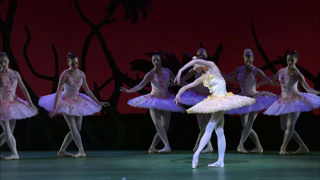 图片[5]-芭蕾舞剧 – 堂吉诃德 Minkus – Don Quixote Royal Ballet 2013 英国皇家芭蕾舞团 [BDMV 32.3GB]-蓝光演唱会资源网