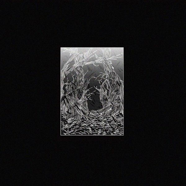 서리 30 – THE FROST ON YOUR HEAD 2019 [24Bit/44.1kHz] [Hi-Res Flac 315MB]-蓝光演唱会资源网
