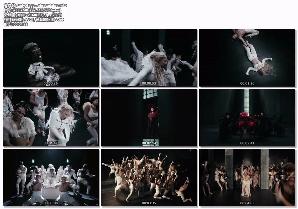 图片[2]-女神卡卡 Lady Gaga – Abracadabra 2160P 4K [WEB-DL MKV 755.7MB]-蓝光演唱会资源网