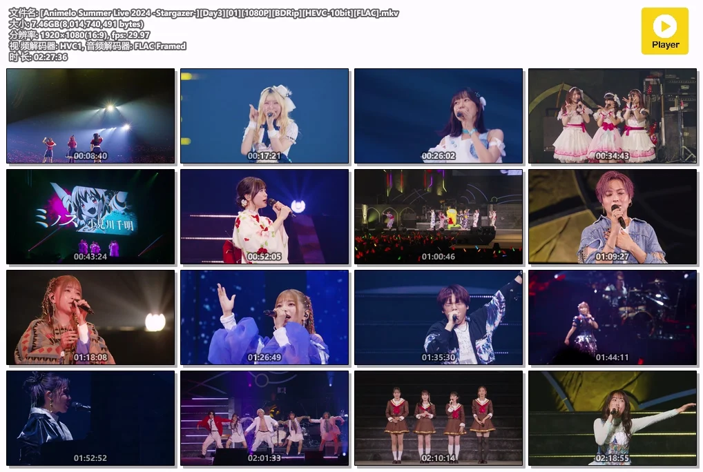 图片[7]-夏日漫音祭 Animelo Summer Live 2024 -Stargazer- [BDrip MKV 57.1GB]-蓝光演唱会资源网