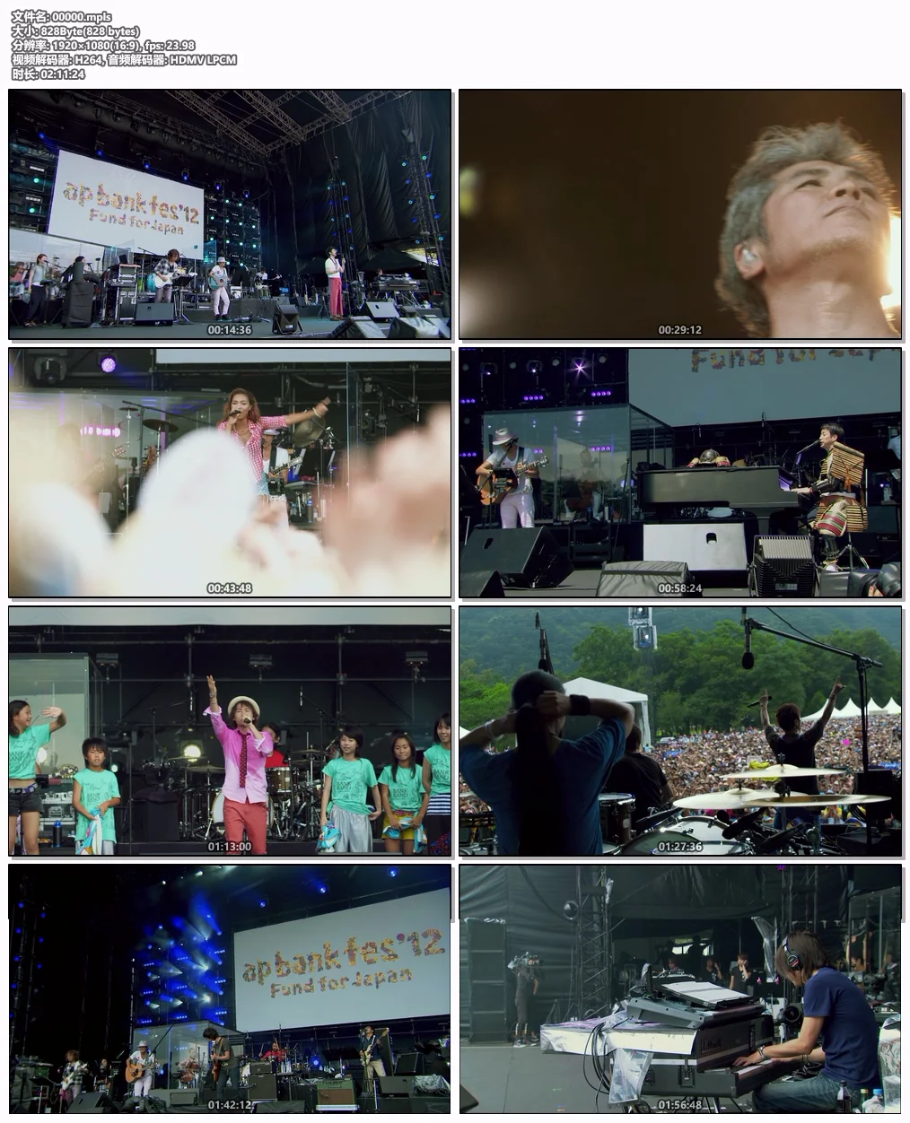 图片[7]-ap bank fes – ap bank fes \’12 Fund for Japan 2013 [BDMV 3BD 95.4GB]-蓝光演唱会资源网