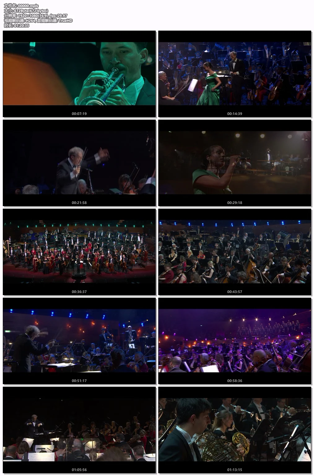 图片[7]-Hollywood Gala I-II – Danish National Symphony Orchestra [2022-2025, 2xBlu-ray] [BDMV 2BD 45.9GB]-蓝光演唱会资源网