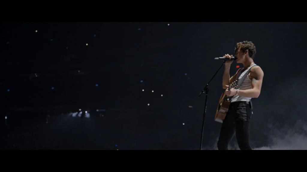 图片[3]-肖恩·门德斯：巡回演唱会纪实 Shawn Mendes Live in Concert 2020 [WEB-DL MKV 10.3GB]-蓝光演唱会资源网