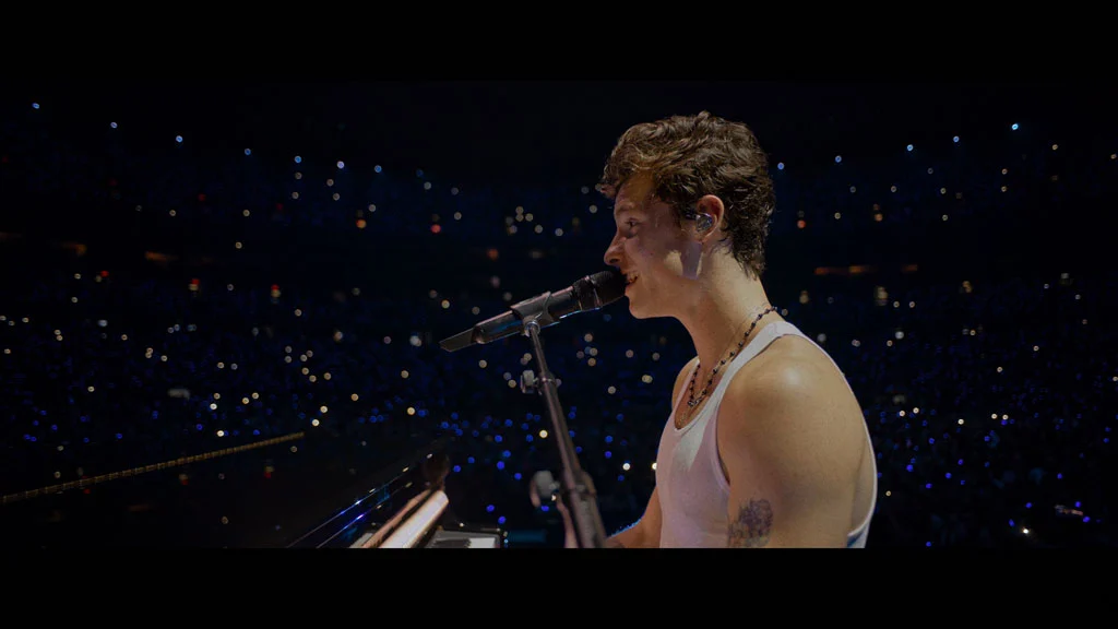 图片[4]-肖恩·门德斯：巡回演唱会纪实 Shawn Mendes Live in Concert 2020 [WEB-DL MKV 10.3GB]-蓝光演唱会资源网