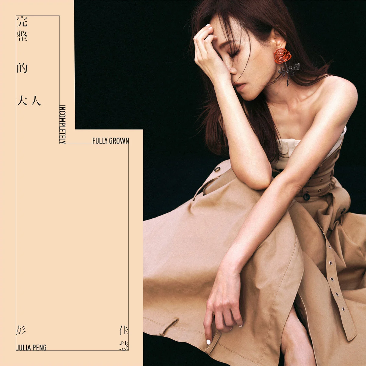 彭佳慧 – 完整的大人 2025 [24Bit/48kHz] [Hi-Res Flac 516MB]-蓝光演唱会资源网