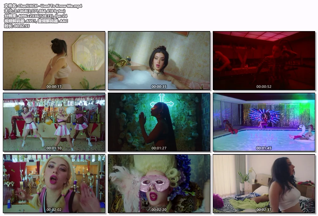 图片[2]-Charli XCX – Used To Know Me [2160P 4K] [Master MP4 3.41GB]-蓝光演唱会资源网