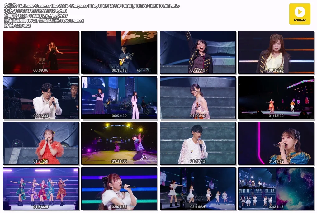 图片[4]-夏日漫音祭 Animelo Summer Live 2024 -Stargazer- [BDrip MKV 57.1GB]-蓝光演唱会资源网