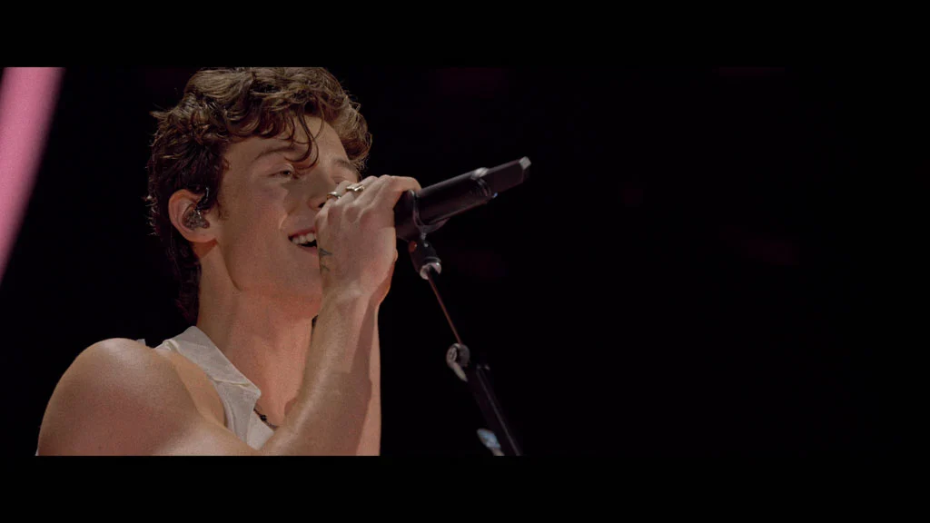 图片[2]-肖恩·门德斯：巡回演唱会纪实 Shawn Mendes Live in Concert 2020 [WEB-DL MKV 10.3GB]-蓝光演唱会资源网