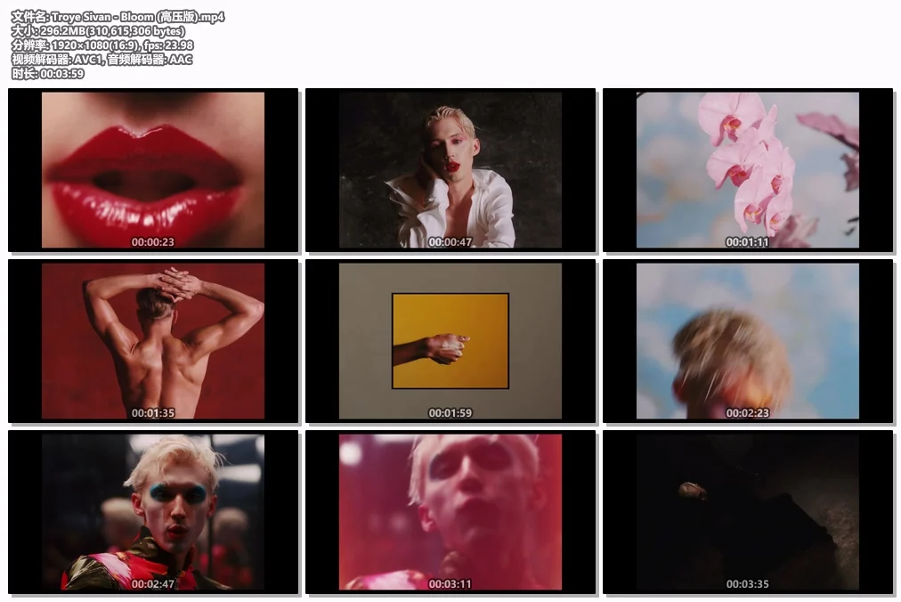 图片[2]-Troye Sivan – Bloom [WEB-DL MP4 296.2MB]-蓝光演唱会资源网