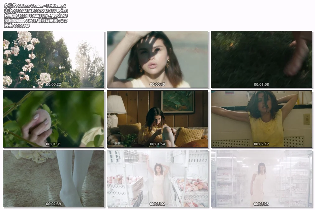 图片[2]-赛琳娜·戈麦斯 Selena Gomez – Fetish [Master MP4 960.6MB]-蓝光演唱会资源网