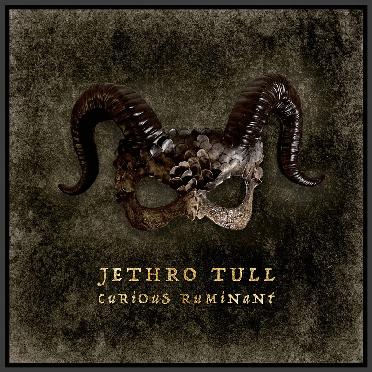 杰思罗·塔尔乐队 Jethro Tull – Curious Ruminant 2025 2CD+1BD [BDISO 21GB]-蓝光演唱会资源网