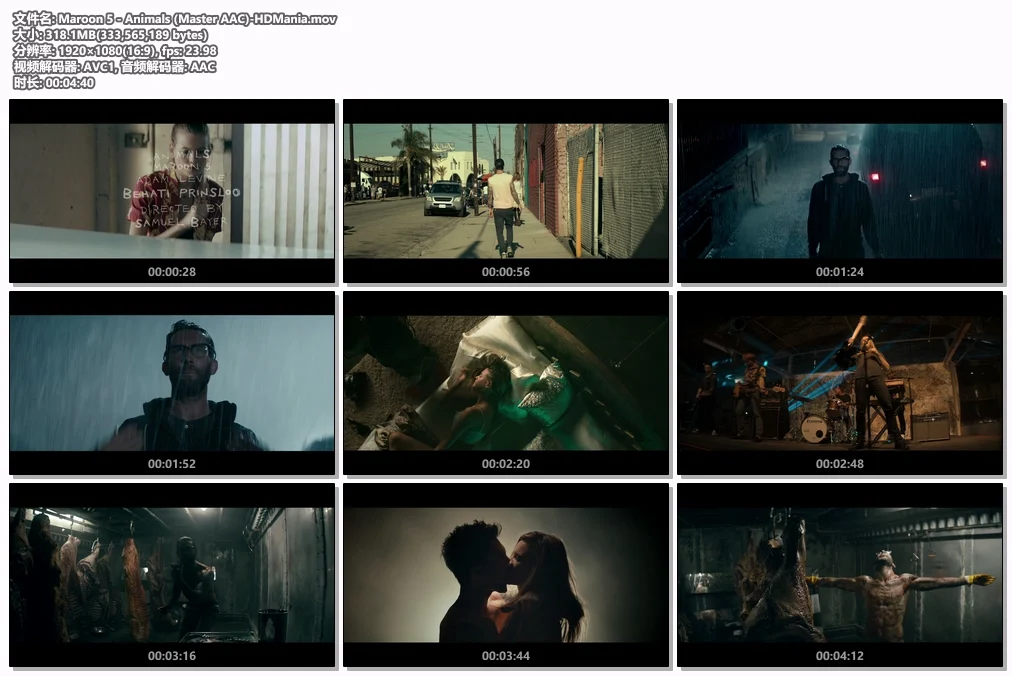 图片[2]-魔力红 Maroon 5 – Animals 1080P [Master MOV 318.1MB]-蓝光演唱会资源网