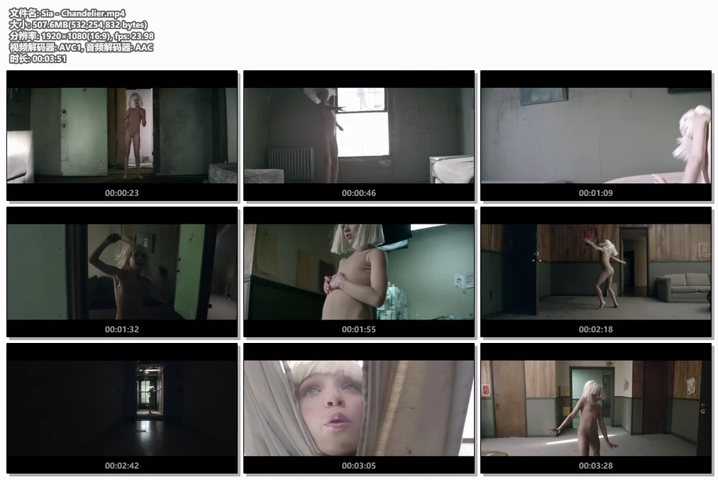 图片[2]-Sia – Chandelier [Master MP4 507.6MB]-蓝光演唱会资源网