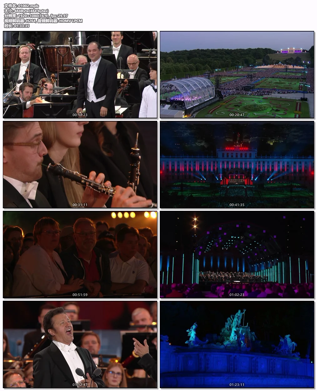 图片[6]-2025维也纳美泉宫夏夜音乐会 Sommernachtskonzert – Summer Night Concert 2025 [BDMV 20.8GB]-蓝光演唱会资源网