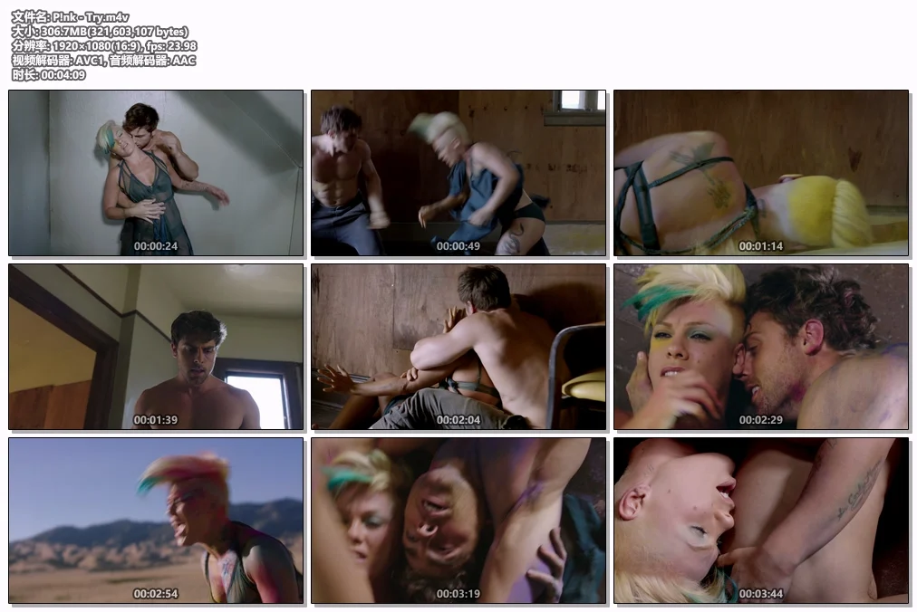 图片[2]-P!nk – Try 1080P [WEB-DL M4V 306.7MB]-蓝光演唱会资源网