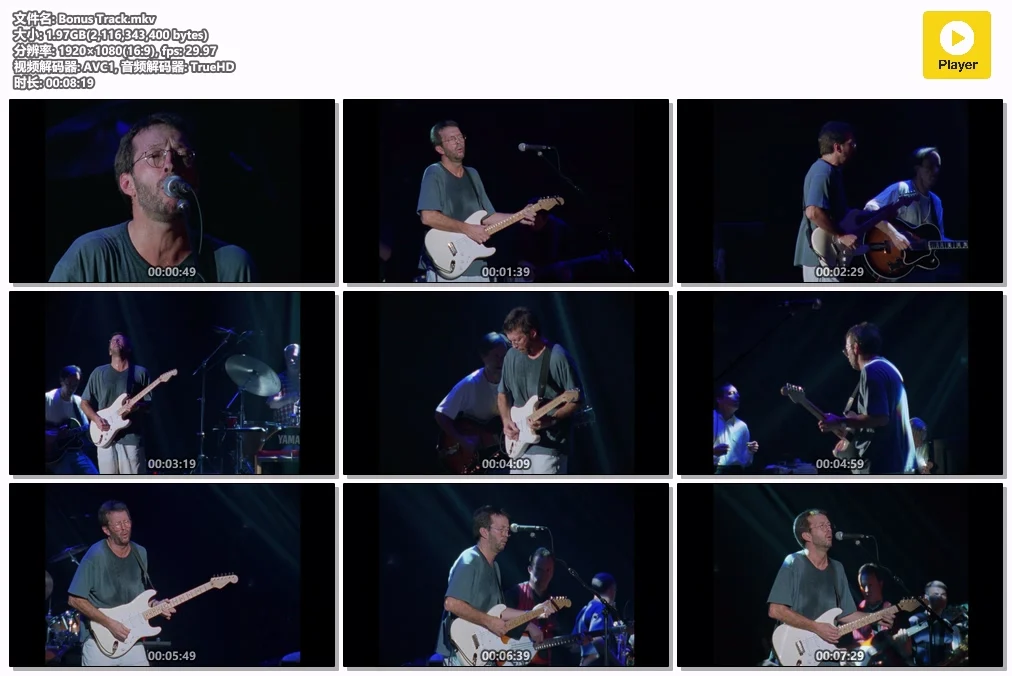 图片[3]-埃里克·克莱普顿 惟有蓝调 Eric Clapton – Nothing But The Blues 1994 [Remux MKV 26.9GB]-蓝光演唱会资源网