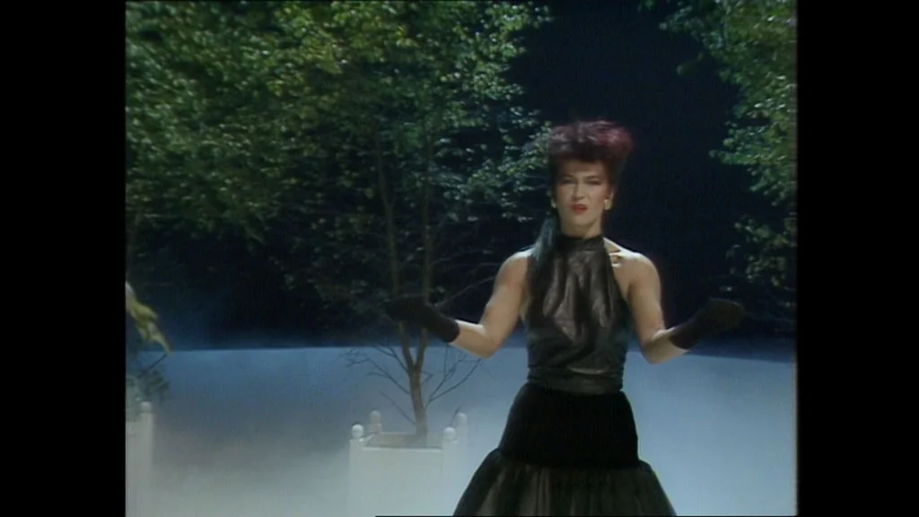 图片[5]-[音乐精选集] 托亚·威尔科克斯 Toyah – Chameleon The Very Best Of Toyah 终极珍藏套装 (2025) [BDMV 1080i 42.8GB]-蓝光演唱会资源网