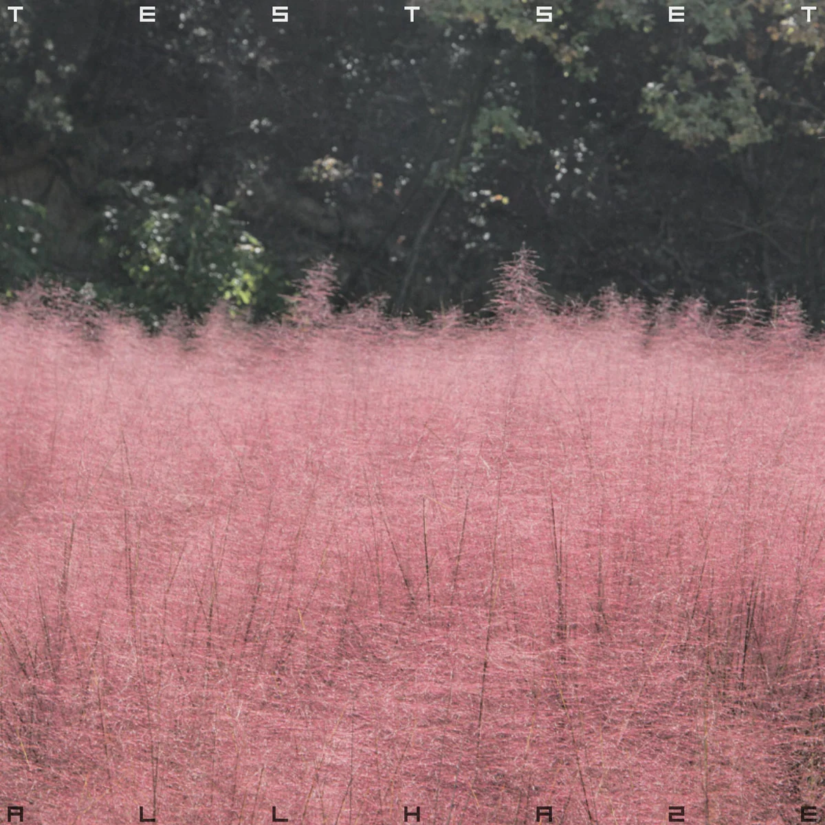 [音乐专辑] TESTSET - ALL HAZE 珍藏版 [2025] [Hi-Res Flac 24Bit/96kHz 838MB]-蓝光演唱会资源网