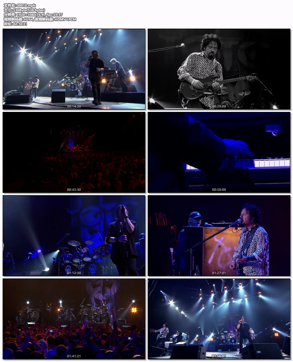 图片[6]-[演唱会] Toto: 35th Anniversary Tour Live in Poland [蓝光原盘 1080i AVC DTS-HD MA 5.1 BDMV 41.8GB 珍藏版]-蓝光演唱会资源网